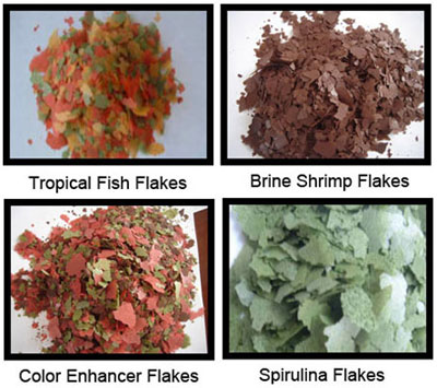 Flake fish feed