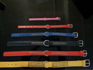 dog collars