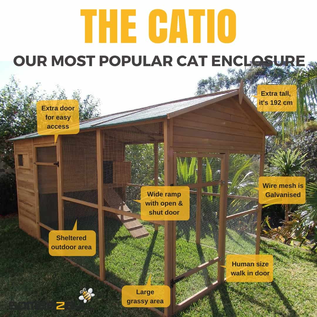 Catio