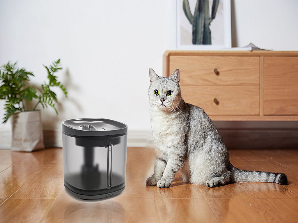 Automatic dog water fountain