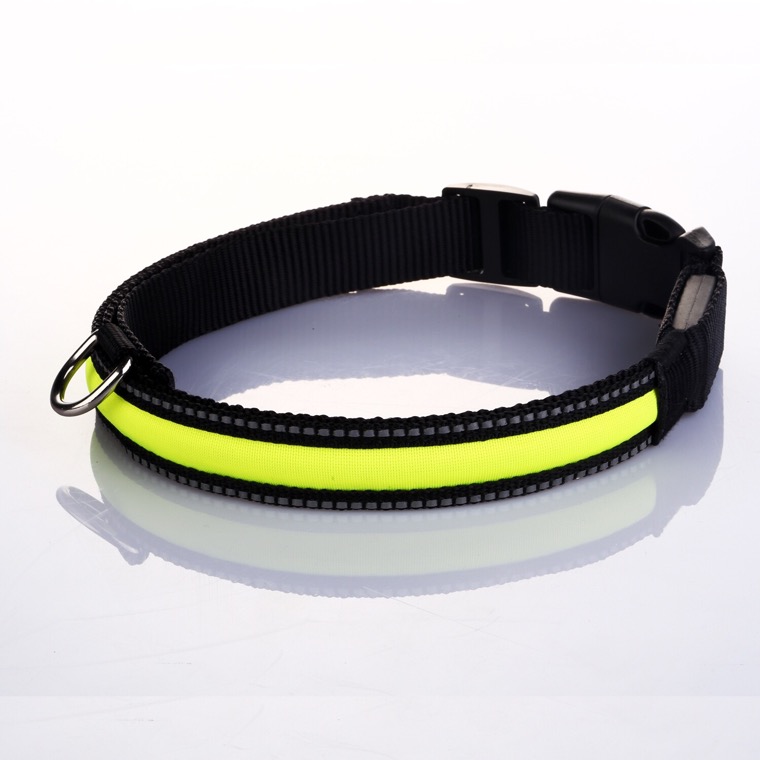 Reflective Stripe Dog Collar Neon Collection