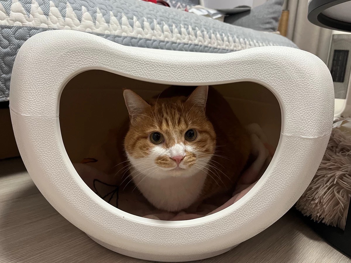 Plastic pet products manufacturer look for a partner !