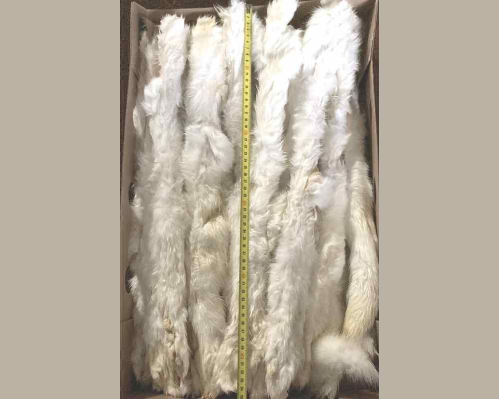 Rabbit Skin with fur