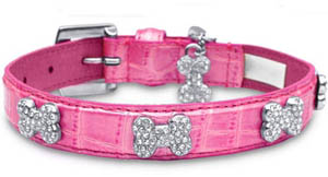 Sell bling bone dog collar